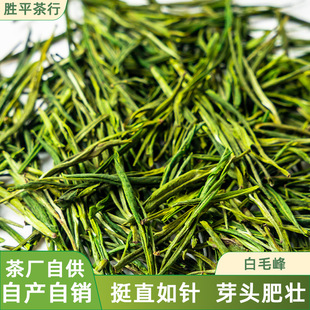 �S��ֱ����ë��G�� ��ǰ������ �͛_�� �y���M�� ����ʴ�