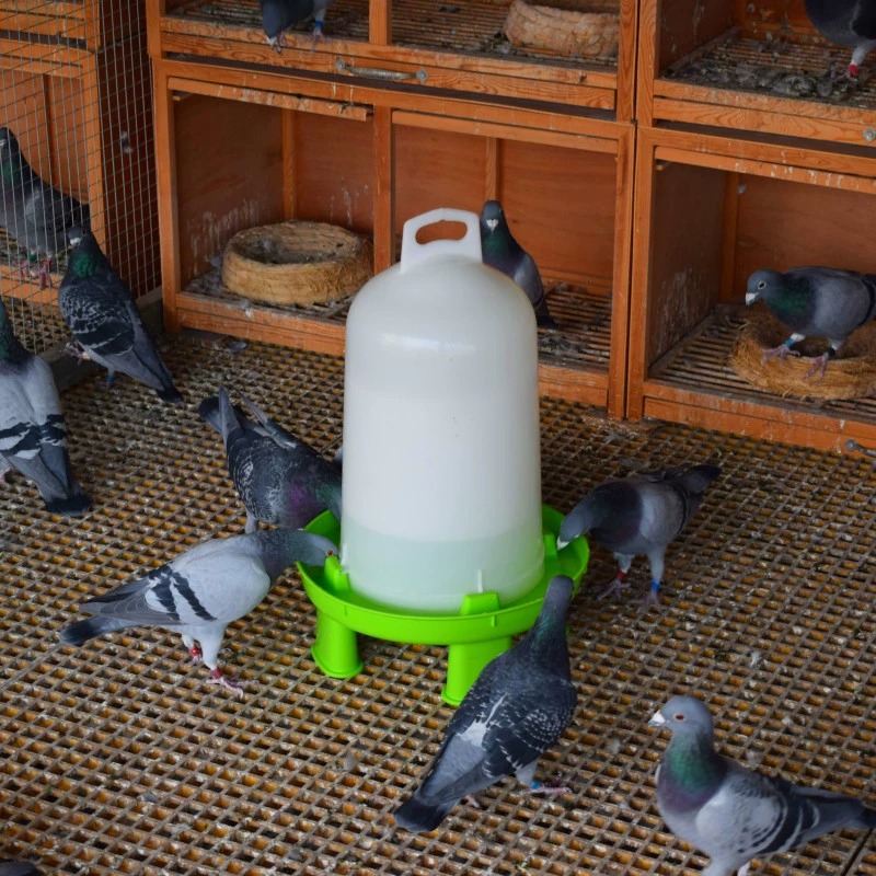 鸽子喂食器带盖防撒食槽自动漏食器信鸽用品鸡食槽饮水器自动食盒