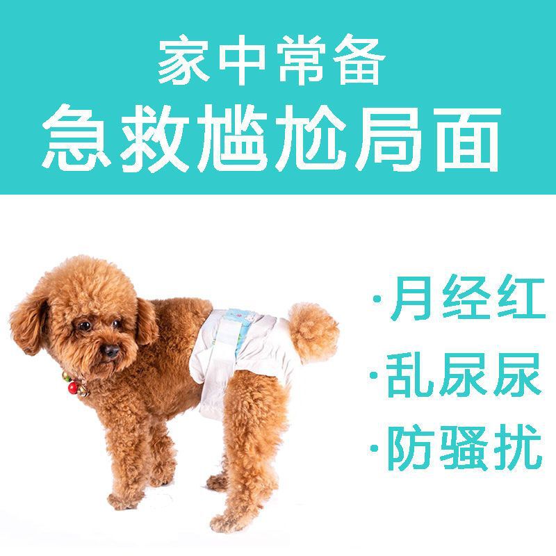 犬用おむつ、ペット用おむつ、雄犬専用、雌犬用、テディビション、プードル|undefined