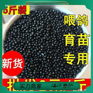 ��5�2025�»��������������Zɢ�b��Ŀ�� �������^��ʡ���]���l