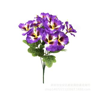 ���R�d�羳 ����ֲ����滨��ɫ�������m�r�� �҃������b�