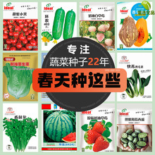 批發蔬菜種子四季菜籽盆栽陽台庭院黃瓜豆角番茄甜瓜西瓜生菜種子