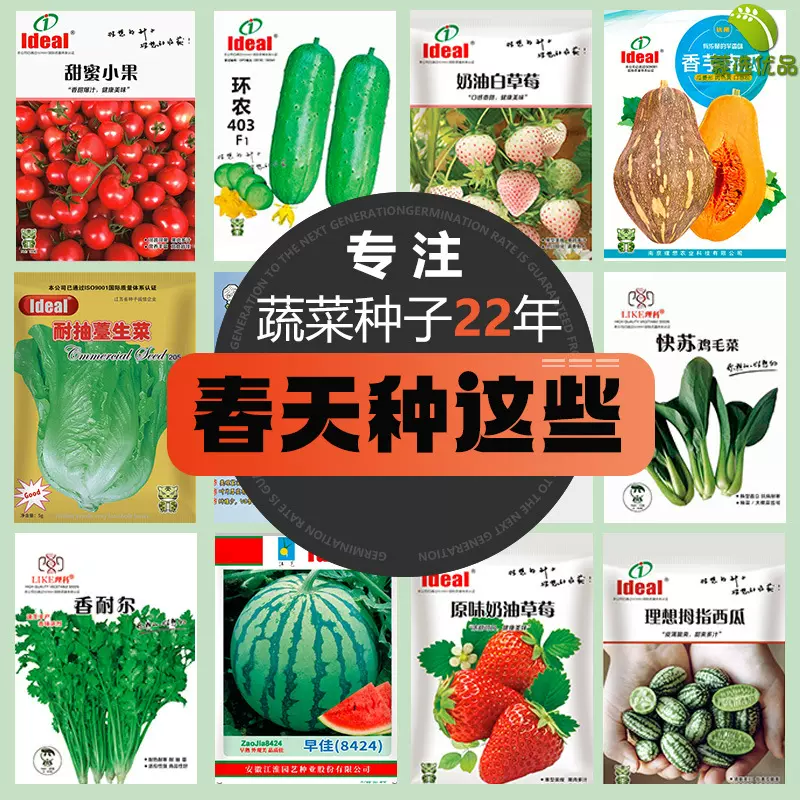 批发蔬菜种子四季菜籽盆栽阳台庭院黄瓜豆角番茄甜瓜西瓜生菜种子