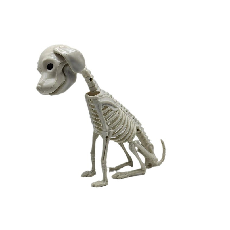 Esqueleto animal transfronterizo Pug