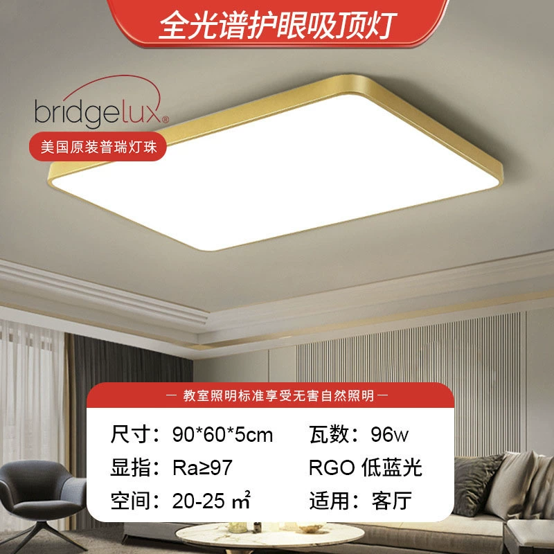 Golden LED ceiling light, lights for corridor, room light, light luxury style