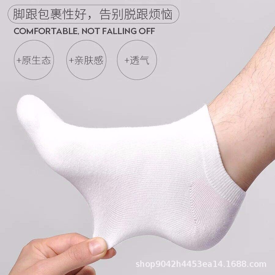 微信图片_20190518135219 - 副本.jpg