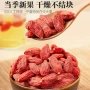 宁夏正宗泡茶枸杞子