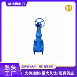 沪工【上海良工】dn50/dn350明杆法兰闸阀Z41T-16Q球墨铸铁缓闭型