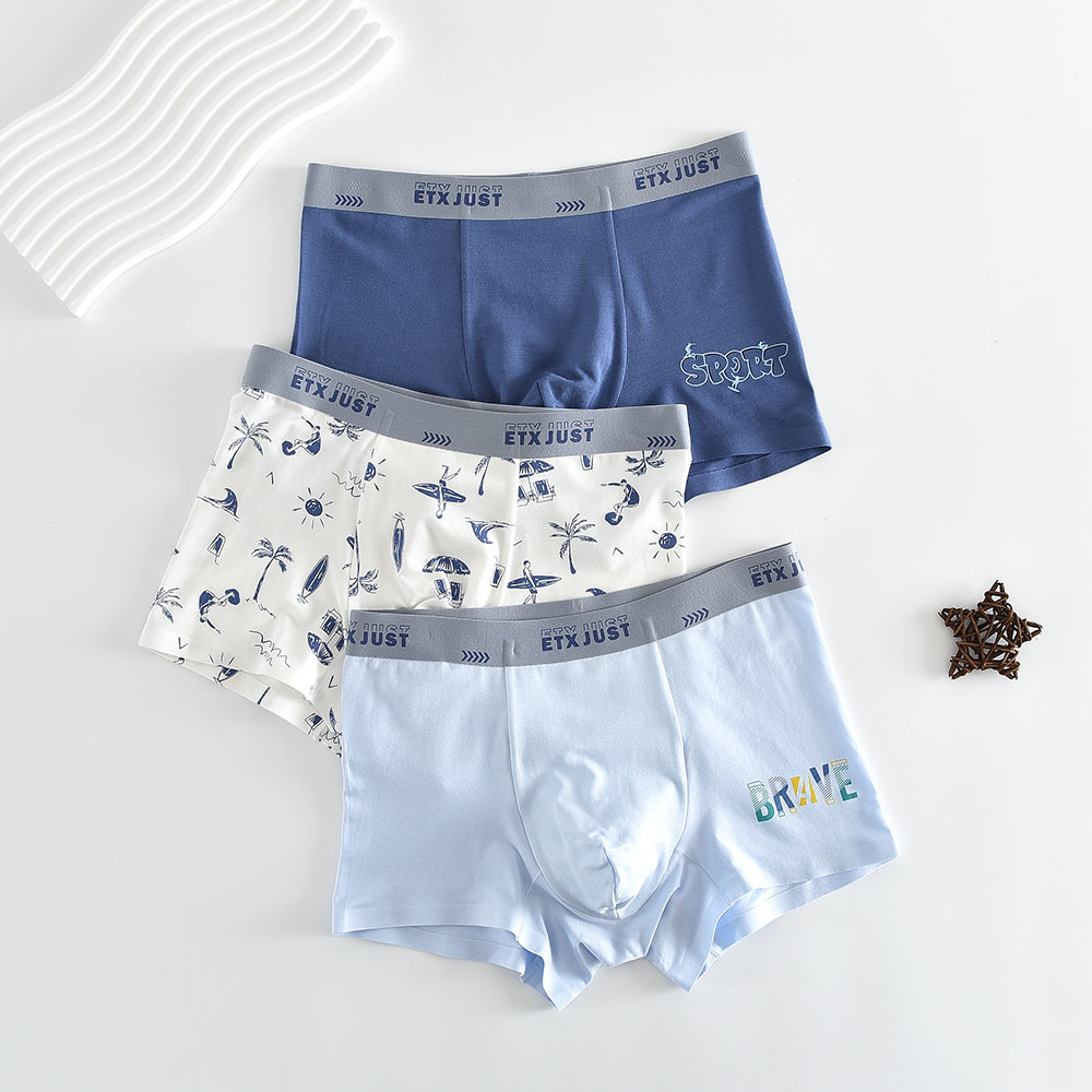 Etx New Modal Youth Underwear Boys Boxer Shorts Boxer Kidsren's Underwear Wholesale Junior High School 3 Pairs