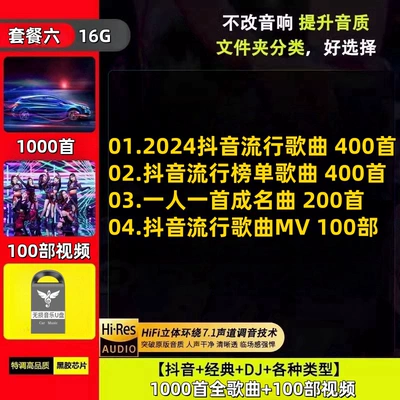 Car USB Flash Drive Songs: Car DVD player - package-six-16g-built-in-1000-songs-100-videos-4gb-64gb