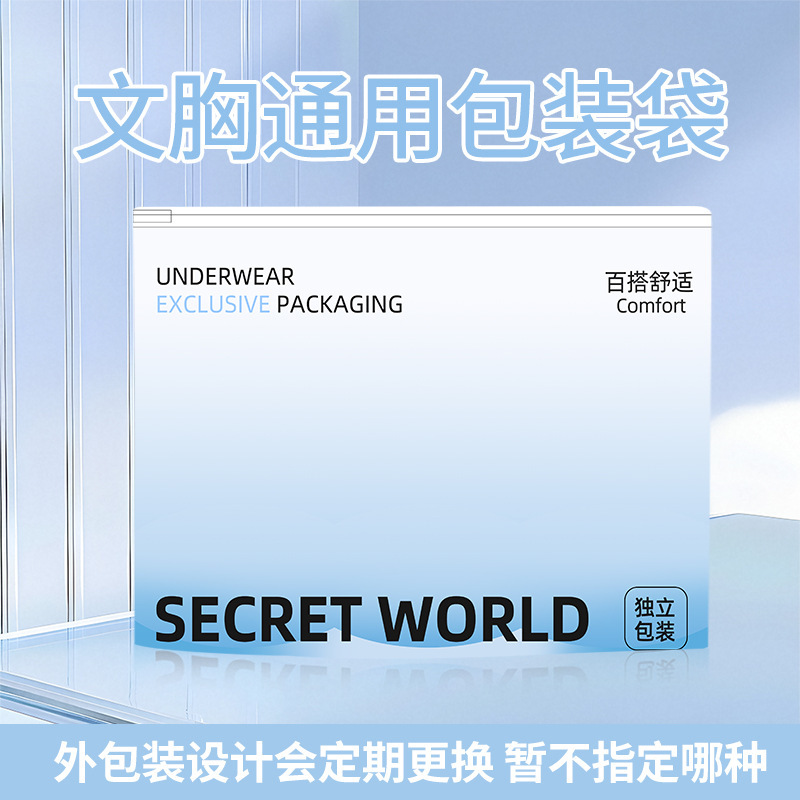 Underwear Bra Packaging Bags, Bra Zipper Bags, Individually Packaged Underwear Bags, Storage Bags Underwear Bra Packaging Bags, Bra Zipper Bags, Individually Packaged Underwear Bags, Storage Bags