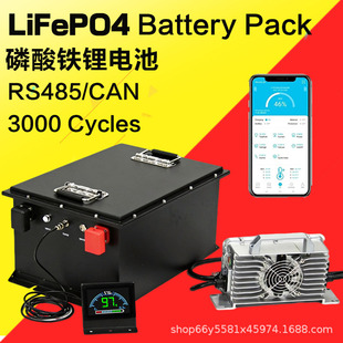 �ߠ����^��܇��݆늄�܇�����F�늳ؒߵ�܇늳�48V60V72V������