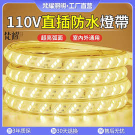 110v伏电压灯带台湾美国加拿大日本客厅吊顶家用led灯条户外防水