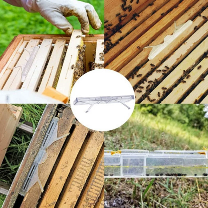 Beekeeping Tools Beetle Trap Insect Trap Nest Insect Trap Capture Collector Exit