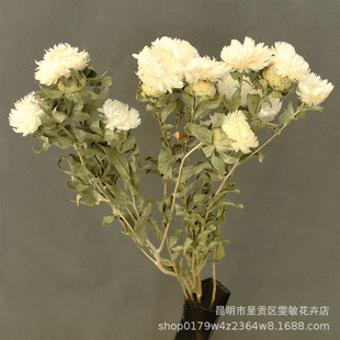 ������ �߲ʾ�С�u�������Ȼ�ɻ� �bҾӔ[�Odiy�廨�ɻ�