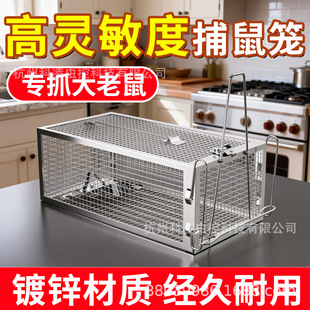 �����x���ԄӲ���������\�F�\�����M���M�o��׽�����l����o��