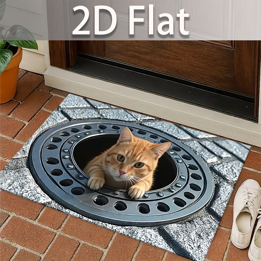 Best-selling trap cat diatomite floor mat for home bathroom, water-absorbent and non-slip doormat, washable decorative entryway mat