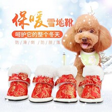 �����z���bЬ����Ь��һ��4ֻ̩��С��Ȯϲ�c�_�������}�QЬ