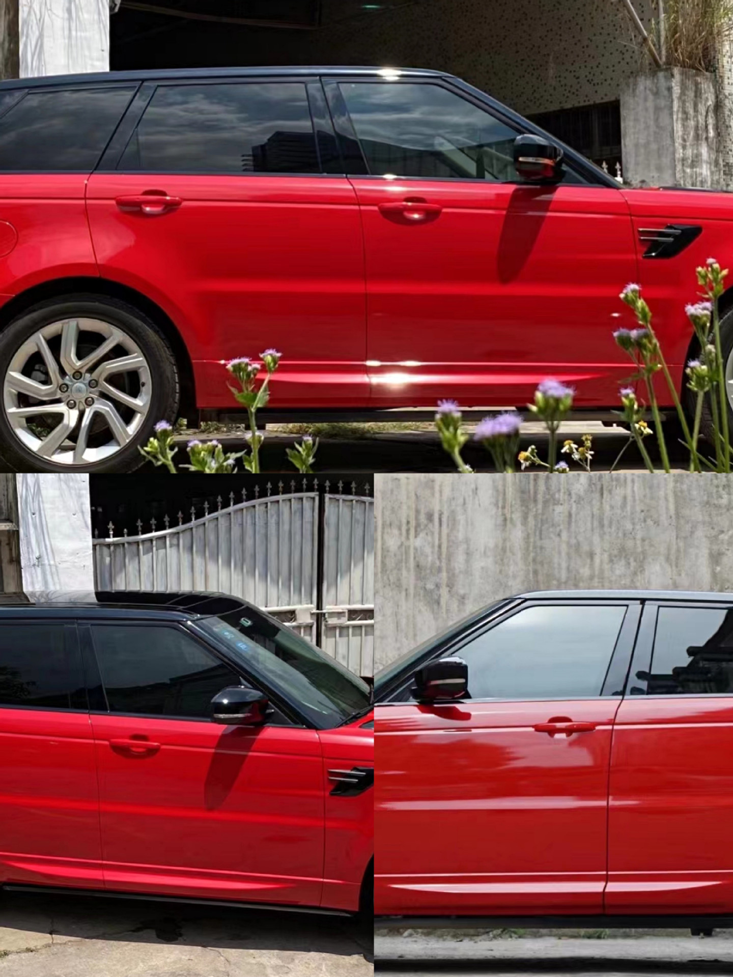 PET 크리스탈 루즈 레드