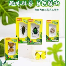 ǧǧ����������x�˱�С�[���̌W������Ȼģ�K����С���