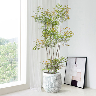 ��������������������Ϙ��Gֲ�҃ȿ͏dֲ��U�����ͥԺ�쾰���l