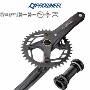 Prowheel Haomeng mountain bike hollow integrated tooth plate 10 11 12 speed single plate 34 36T 38T positive and negative teeth