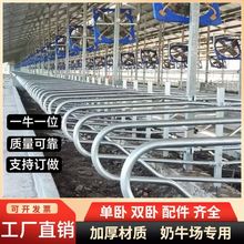 牛卧床配件牧场牛场专用热镀锌奶牛限位栏养殖场设备单卧双卧加厚
