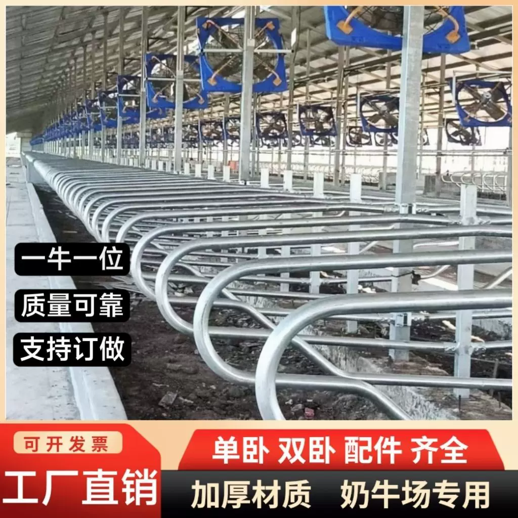 牛卧床配件牧场牛场专用加厚热镀锌奶牛养殖场设备单卧双卧隔离栏