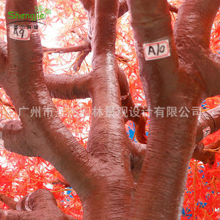 ����t����� �҃��b٘����� ���͗���չ�d�Ƶ꾰�^չ�[