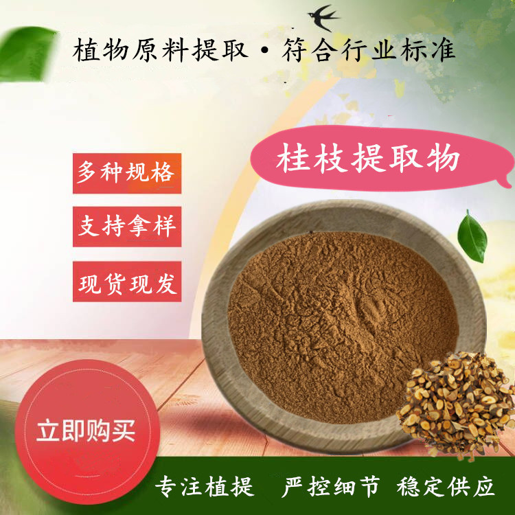 Cinnamomi Twig Extract Liugui/Cinnamomi Twig Extract Water Soluble Cinnamomi Twig Powder 500 g/Bag Source Factory Supply