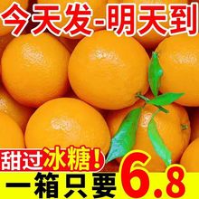 新鮮夏橙現摘橙子當季水果手剝橙無籽小甜橙臍橙整箱批發