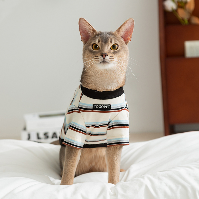 Primavera y verano gatos sin pelo gatitos pequeños gatos dibujos animados rayados como camisetas de dos patas gatitos perros lindos ropa de mascotas