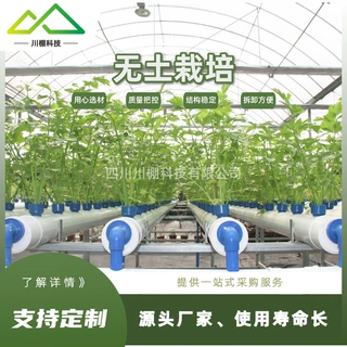 无土栽培架基质椰糠条校园无土栽培教学温室工程承建四川温室厂家