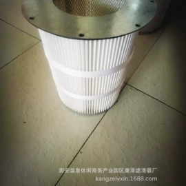 滤芯;滤筒;过滤器
