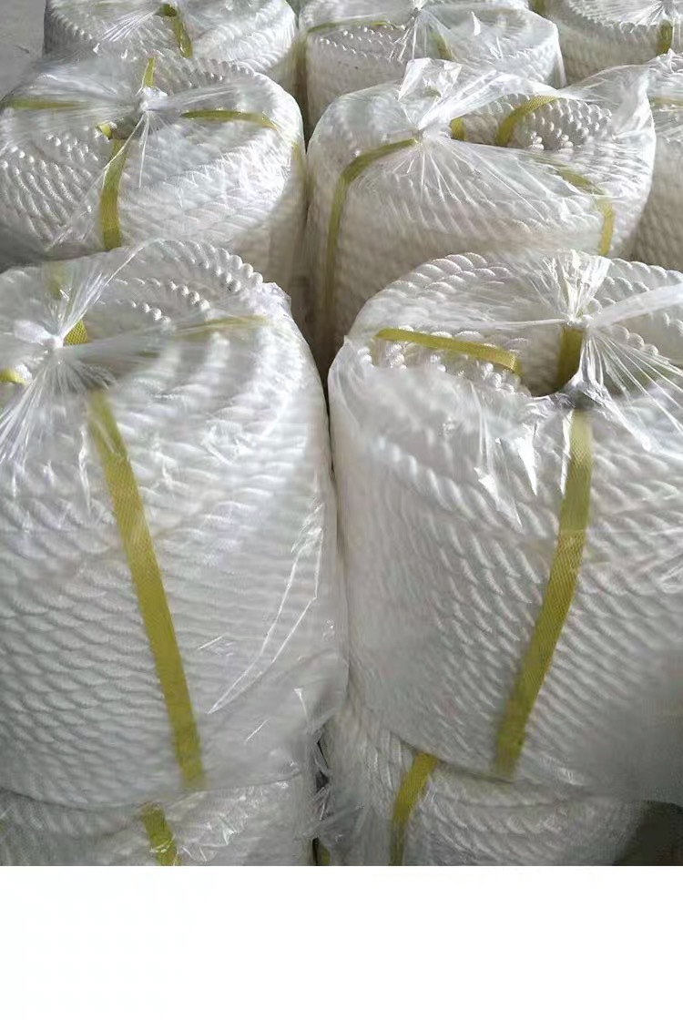 微信图片_20241015130658