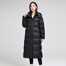 qŮLӺ^ϥ߶˕rкs2025¿@ů