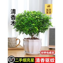 �����������ľ���Ի����҃�����ò�ֲ������Ϙ��辰������Gֲ