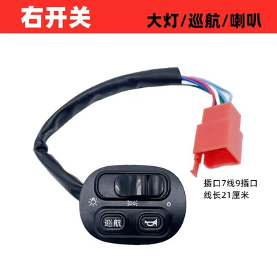 Double Flash Button Headlight – Other Electric Vehicle Accessories - guanneng-t5-right-switch