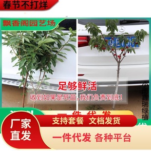 ������̫ƽ��t������� �Ի��ڷ�̫ƽ��t������ �����̻���ϵ
