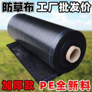 ��ɫpe���ݲ����ݲ��r�È@�ֹ���͸ˮ͸���w�ݲ��@ˇ�ز����ϻ�