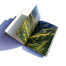 纸盒;笔记本记事本;其他礼品包装