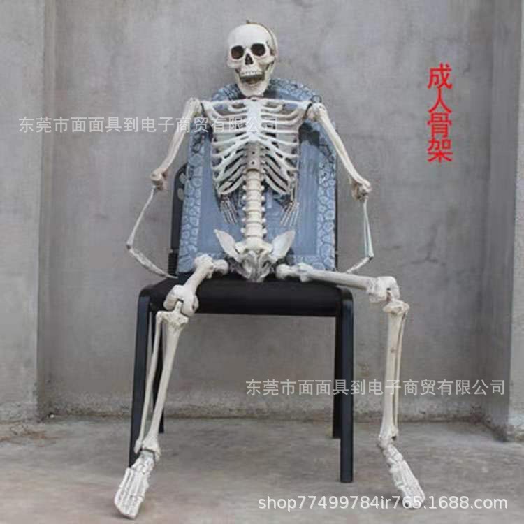 Decoraciones de terror de Halloween, ataúdes, adornos de esqueleto de momia, casas embrujadas, habitaciones para escapar, accesorios realistas aterradores, ataúdes de reunión de almas