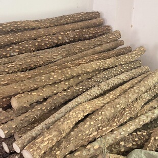 ��ȻҰ�������W�^�B����ü�]վצվ�����̫������ľ���Uľĥ�˸�