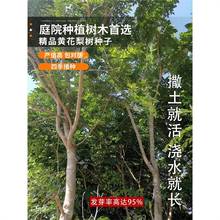 �S����N�����ں����S�����N�� �S̴��N�� ����ľ����ľ��tľ