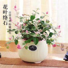 ���~�jʯ����ֲ���k���҃Ȼ��ܿ͏d����С�Gֲ�ļ����B���׻��