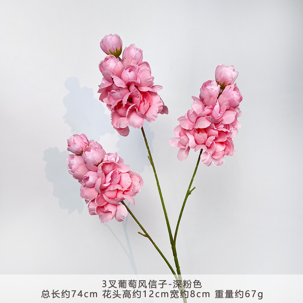 CC-3叉葡萄风信子-深粉