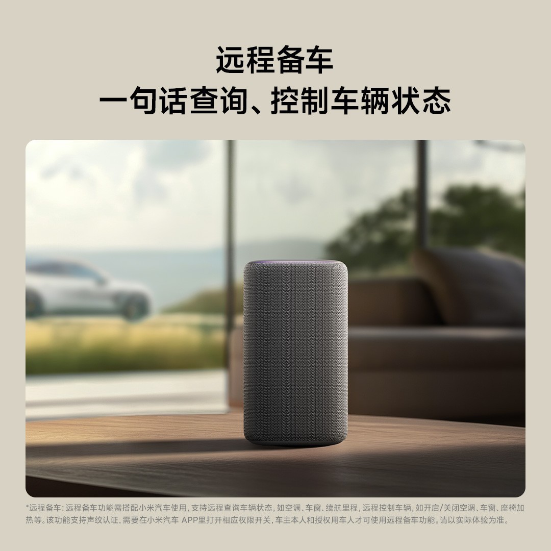Умная колонка Xiaomi Pro Super серая