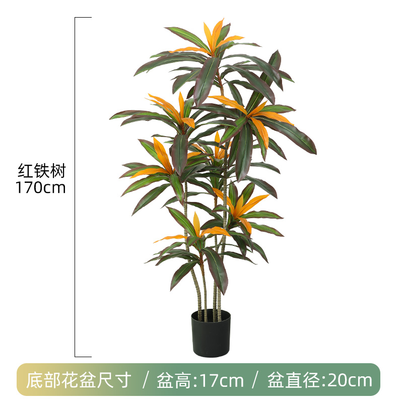 170cm 4극 붉은 철나무