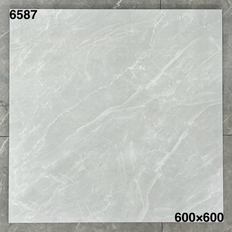 6587