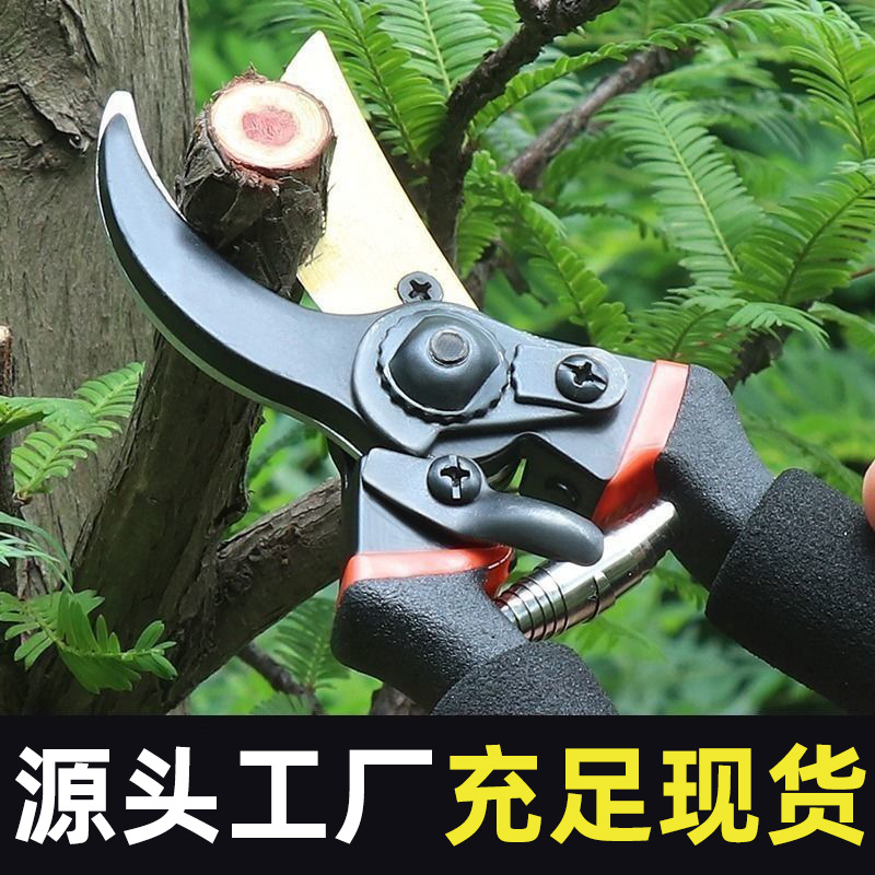 tijeras de jardinería tijeras de corte de árboles frutales al por mayor tijeras de corte de ramas gruesas jardín tijeras para ramas tijeras de corte de flores tijeras de corte tijeras de recolección de frutas